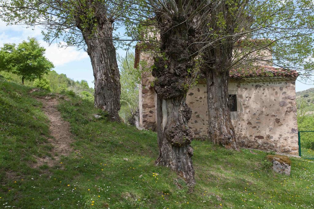 Posada De Urreci Aldeanueva de Cameros Eksteriør bilde